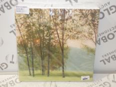 Morning Sun Through The Trees Canvas Wall Art Picture RRP£50 (1832824)(Viewing or Appraisals