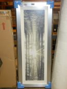 Packaged Framed Through The Trees One By Artist Asaf Frank Framed Wall Art Picture RRP £120 (