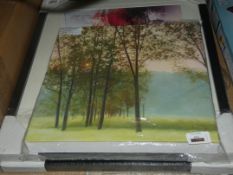 Lot to Contain 3 Assorted Designer Pictures To Include A Canvas Forrest Picture, At Play two