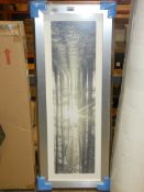 Packaged Framed Through The Trees One By Artist Asaf Frank Framed Wall Art Picture RRP £120 (