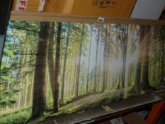 Large Rectangular In The Woods Wall Art Canvas Picture RRP £80 (Viewings And Appraisals Are Highly