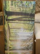Boxed Versario Panoramic Sunshine Through The Trees Framed Wall Art Picture RRP £180 (Viewing/
