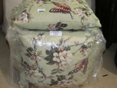Cash Home Designs 18 x 18Inch Butterfly Mint Green Designer Scatter Cushions RRP £20 Each (11092) (