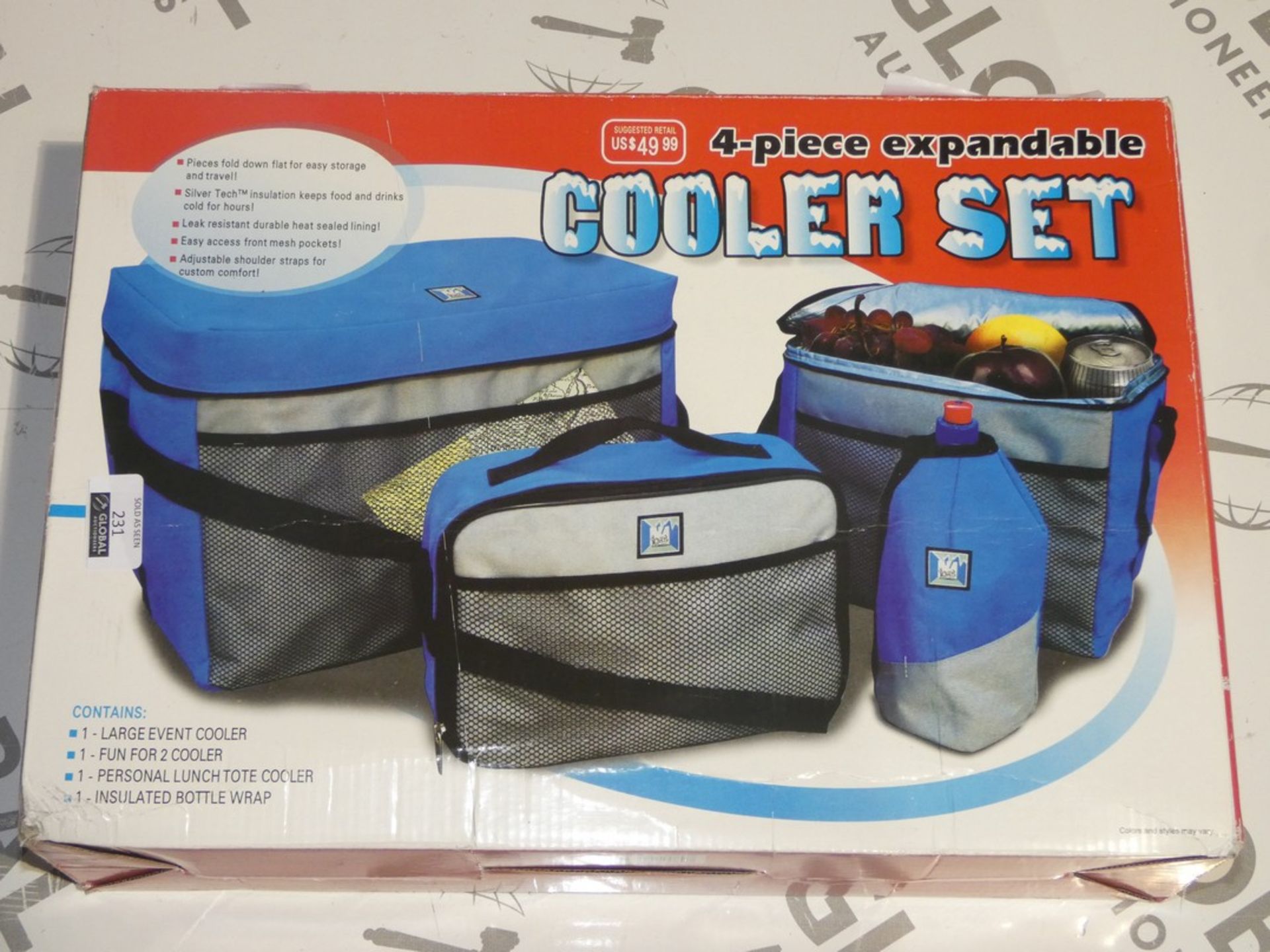 Boxed Set Of 4 Expandable Cooler Picnic Bags (Viewing/Appraisals Highly Recommended)
