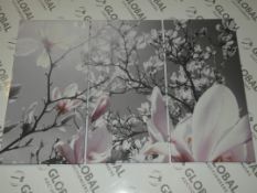 Pixx Print Tryptic Floral Blossom Wall Art Picture RRP £75 (13820) (Public Viewing and Appraisals