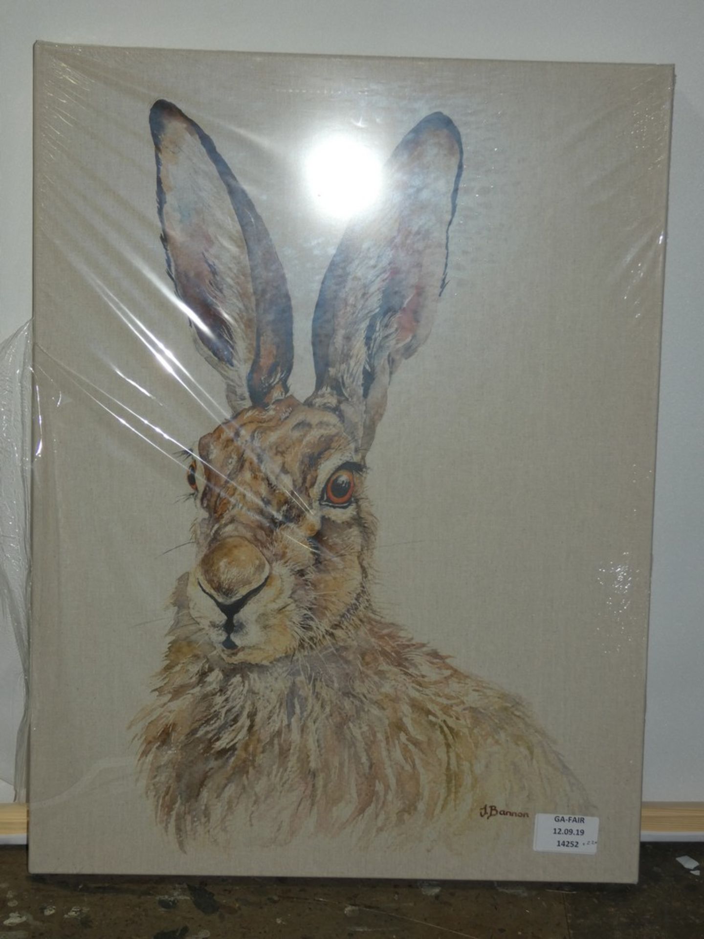 Tilly By Artist Jane Bannon Canvas Wall Art Picture RRP £120 (14252) (Public Viewing and