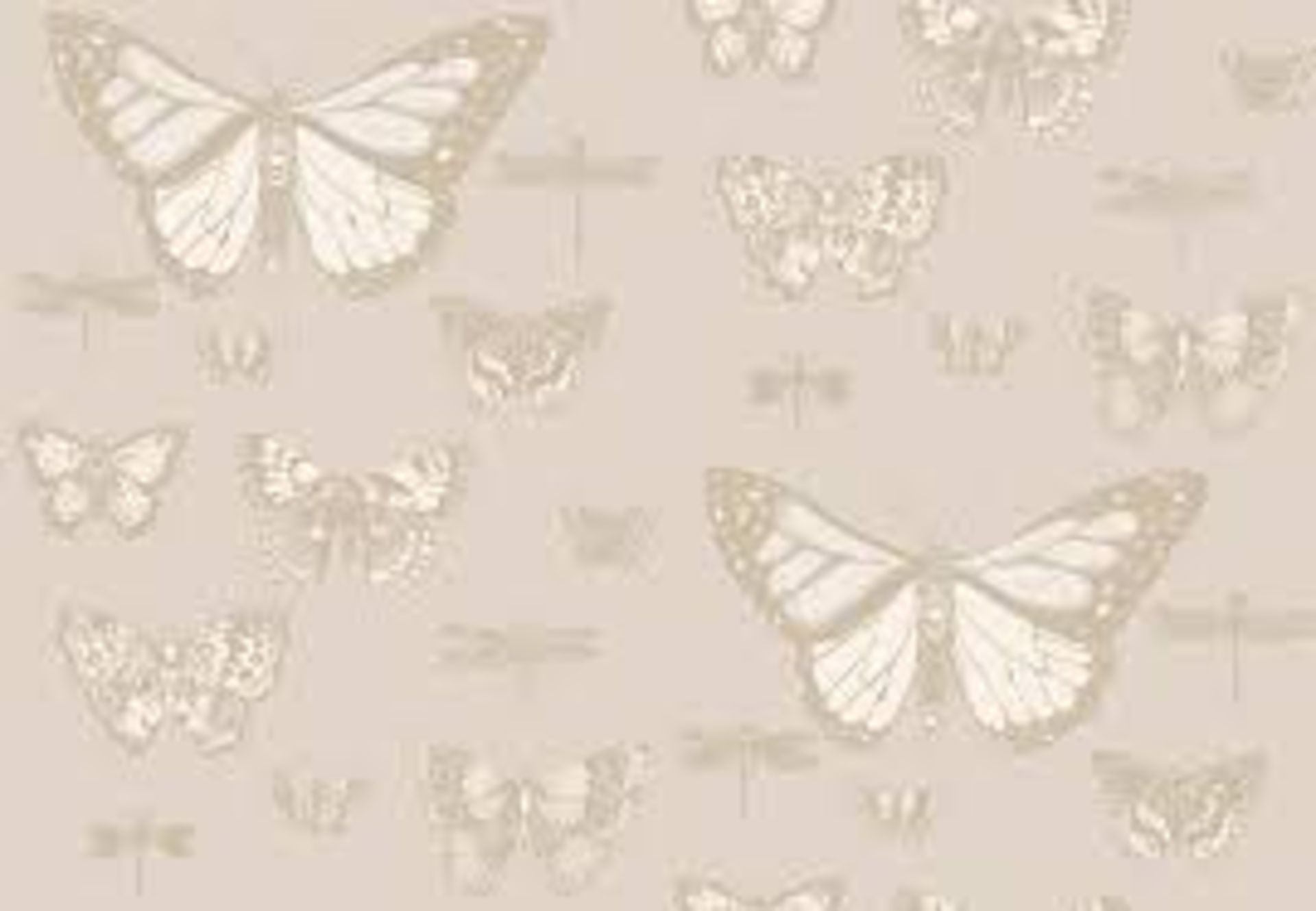 Brand New and Sealed Roll of Cole and Son Butterflies and Dragonflies Wallpaper RRP £85 (3023652) (