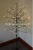 Lot to Contain 3 Boxed Perfect Christmas 1.8m Light Up Tree Combined RRP £105 (Public Viewing and