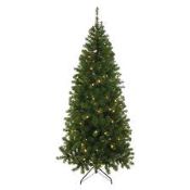 150cm 5ft Patterson Pine Prelit Christmas Tree RRP £80 (Public Viewing and Appraisals Available)