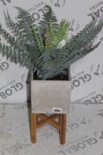 Boxed Peony Wild Fern In Cement Cube on Stand Artificial Potted Plant RRP £95 (3177317) (Public