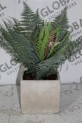 Boxed Artificial Potted Plant RRP £75 (3420354) (Public Viewing and Appraisals Available)