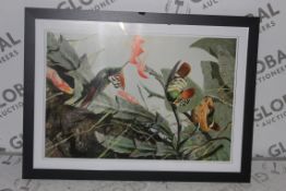Three Little Birds Framed Wall Art Picture RRP £50 (14789) (Public Viewing and Appraisals