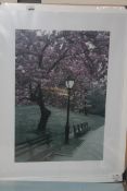 Lot to Contain 2 Assorted Designer Wall Art Pictures to Include a Seaside and a Cherry Blossom Bench