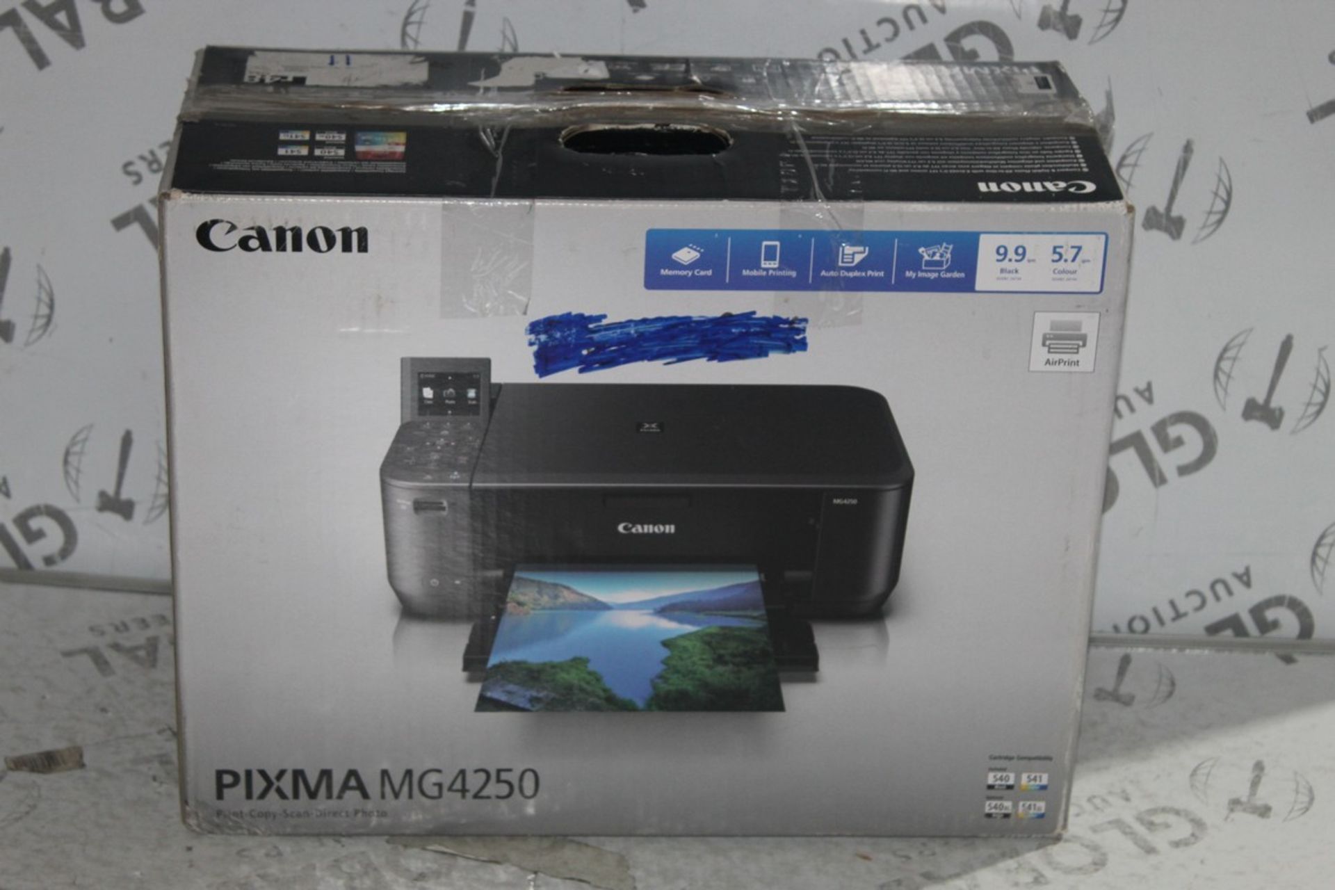 Boxed Canon Pixma MG4250 All In One Printer Scanner Copier RRP £50 (Public Viewing and Appraisals