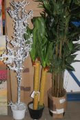 Assorted Artificial Potted Plants to Include a Snow Covered Tree, Gecko Bamboo Tree RRP £50 - £100