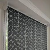 Orla Kiely Stem Cool Grey 120 x 162cm Roller Blind RRP £90 (3378115) (Public Viewing and