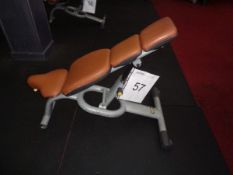 Technogym adjustable weight lifting bench