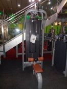 Technogym model selection lat frame machine