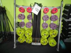 Technogym exercise rack with 31 lifting bars and approximately 160 various weights