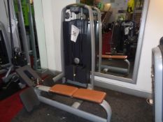 Technogym model selection pulley frame machine