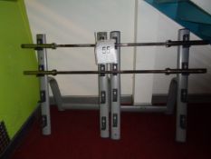Technogym lifting bar storage frame and two lifting bars