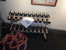 20 x Dumb bell lifting weights and storage rack