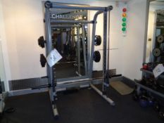 Technogym multipower power lifting frame smith machine with 20 various weights