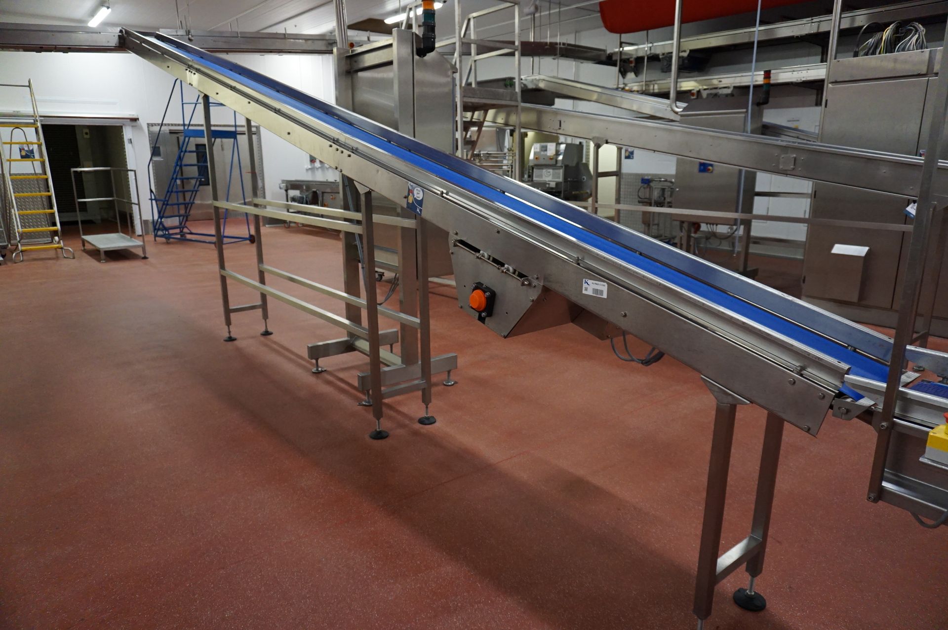 Fisher-Matthews Packing Station Comprising: motorised decline belt conveyor, Approx 6m with WMH - Image 19 of 19