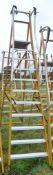 11 tread glass fibre framed step ladder E0012932