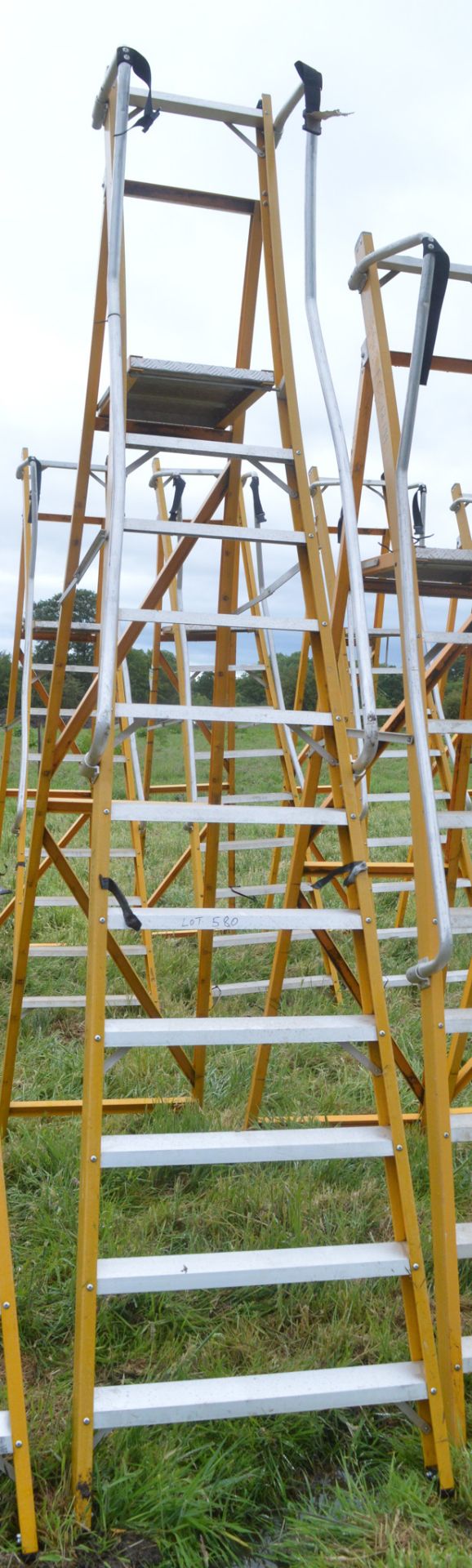 11 tread glass fibre framed step ladder E0012932