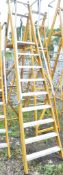 9 tread glass fibre framed step ladder 12202