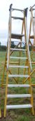 9 tread glass fibre framed step ladder E0011754