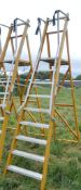 9 tread glass fibre framed step ladder E0012206