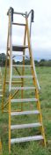 9 tread glass fibre framed step ladder E0010235