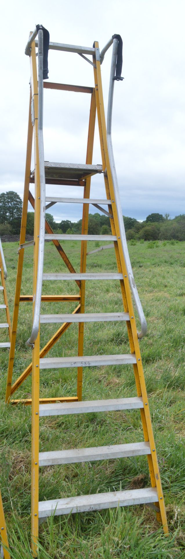 9 tread glass fibre framed step ladder E0010235 - Image 2 of 2