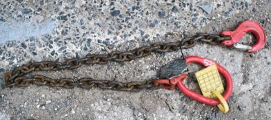 Single leg chain A850605
