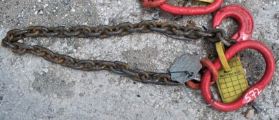 Single leg chain A850599