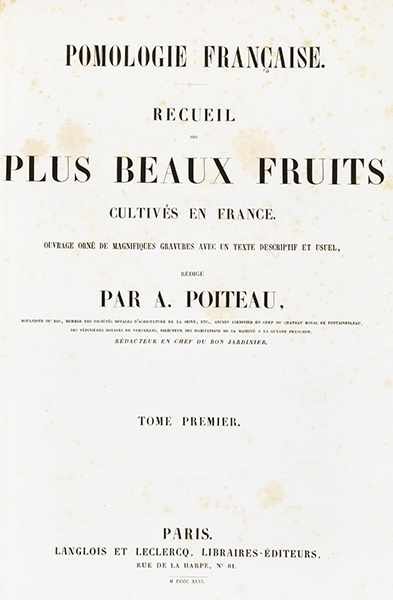 POITEAU, Pierre-Antoine. Pomologie francaise. Recueil des plus beaux fruits cultivés en France. 4 - Image 2 of 27