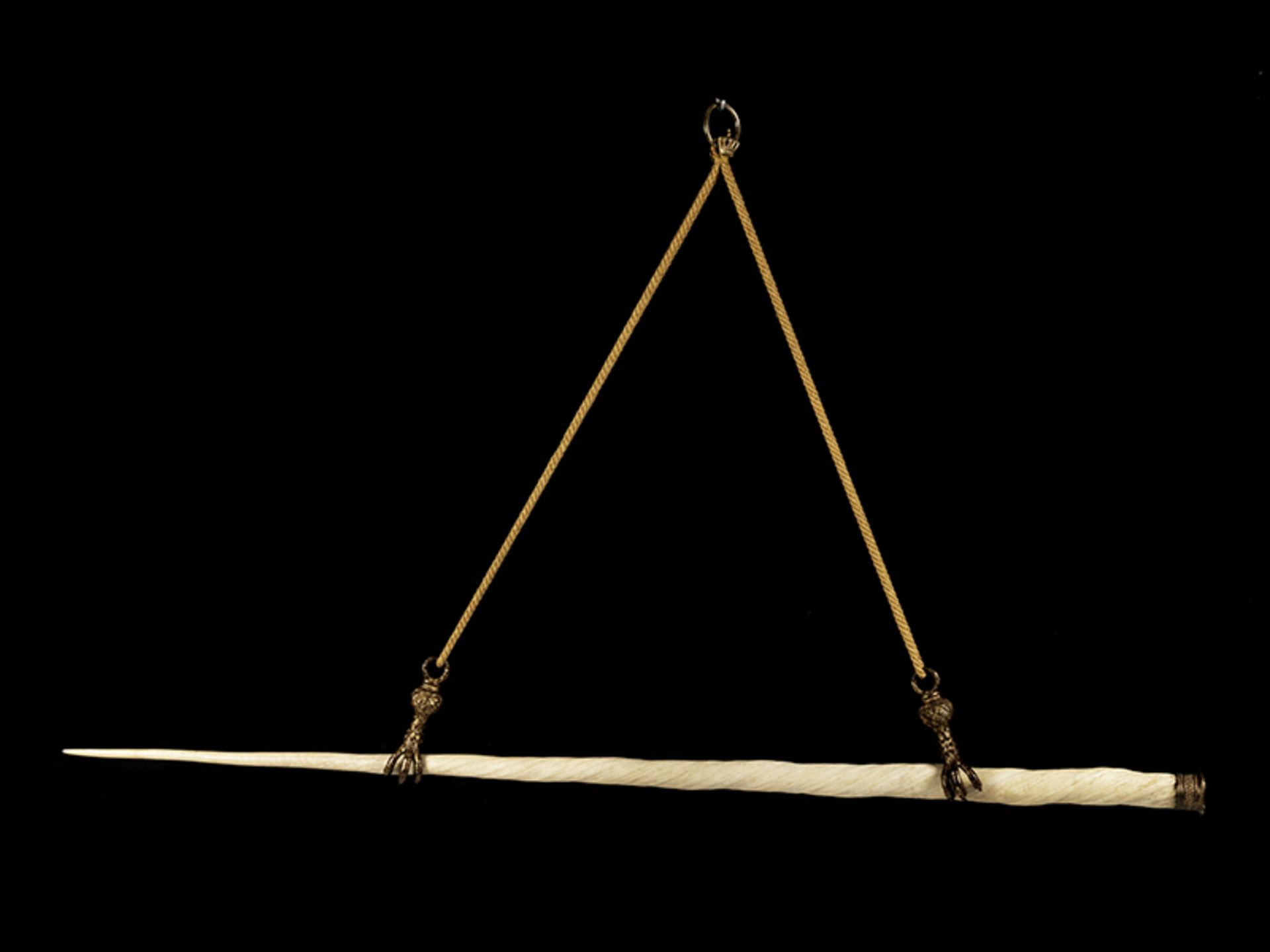Narwalzahn Länge: 145 cm. 19. Jahrhundert. In original vergoldeter Bronzemontierung. Zweifache