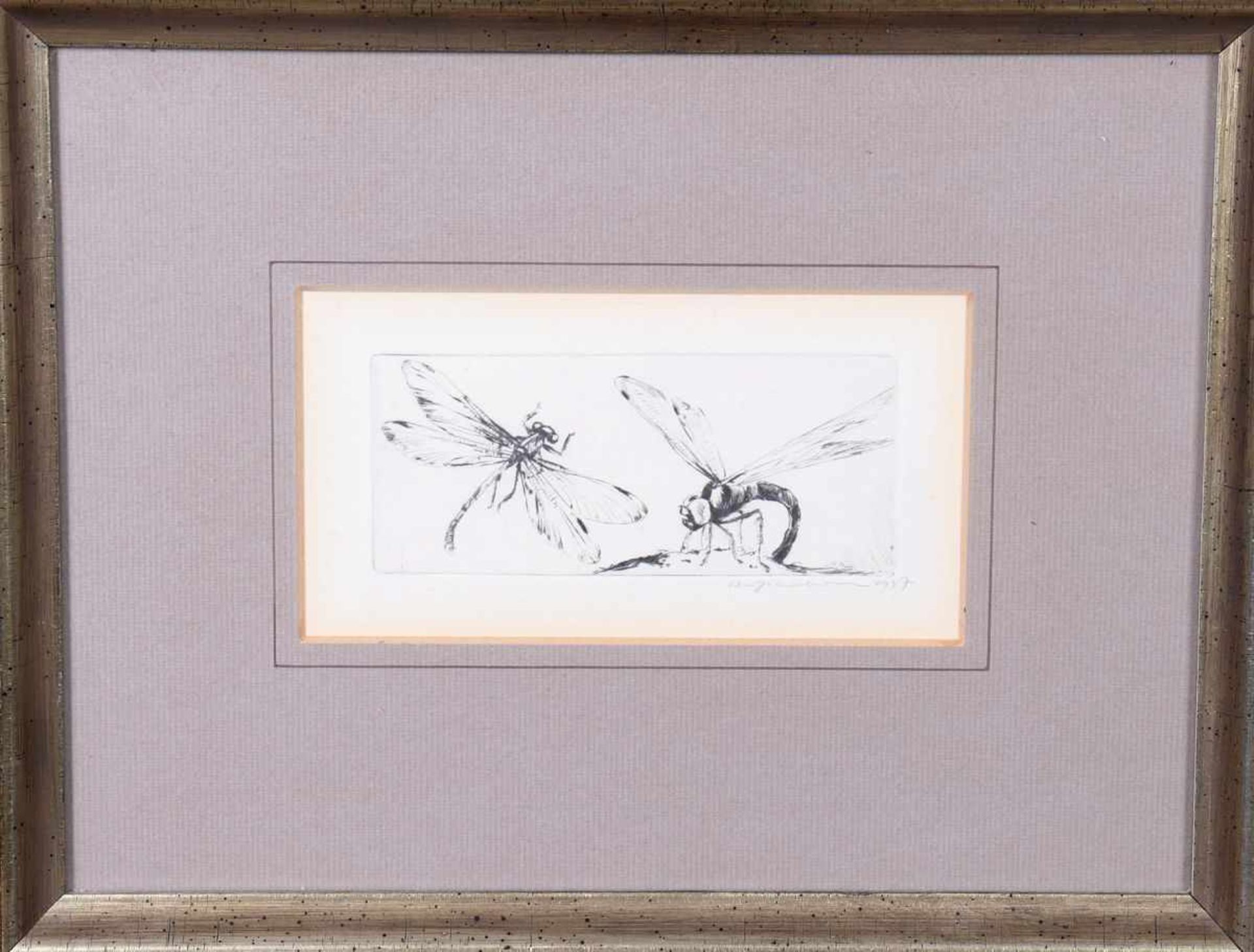 Zwei LibellenUnbekannter Künstler, Radierung, u.r. unleserlich bleistiftsigniert, dat. 1937, ca. 5,