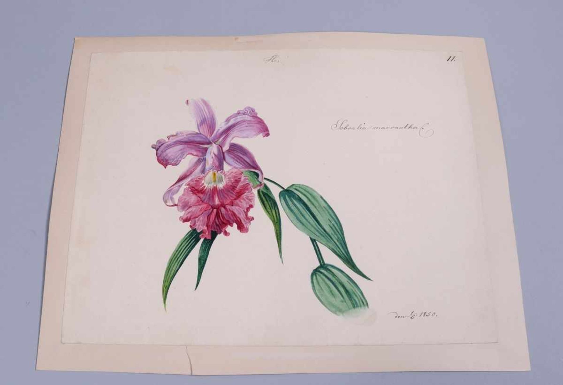 Wohl Ferdinand Michael Lieb(1833 Wien - 1908 Wien), Aquarell/Papier, auf Karton aufgezogen, "