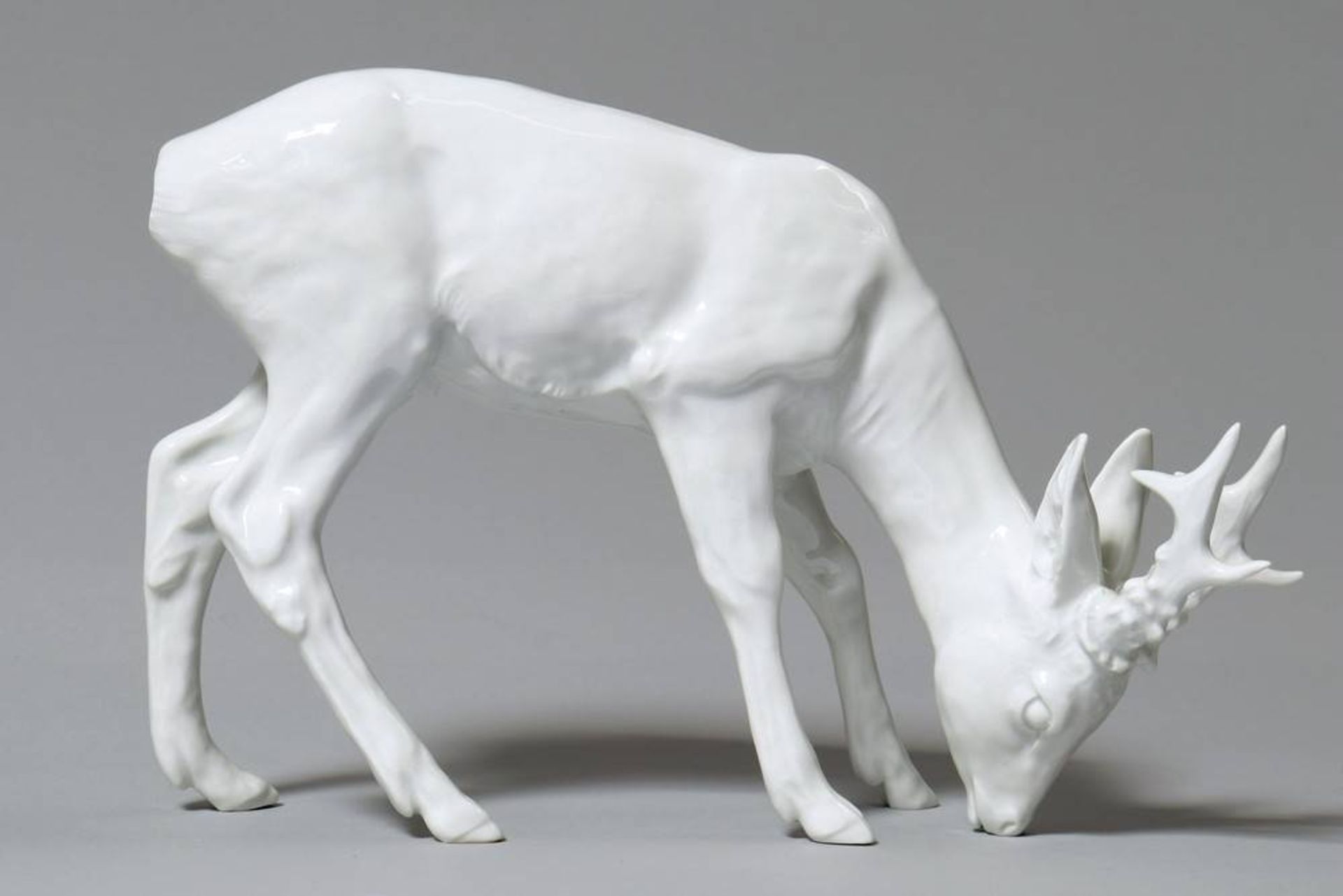 Standing roebuck Design Willi Münch-Khe (1885-1960), Meissen, 20th C., porcelain, sword mark and