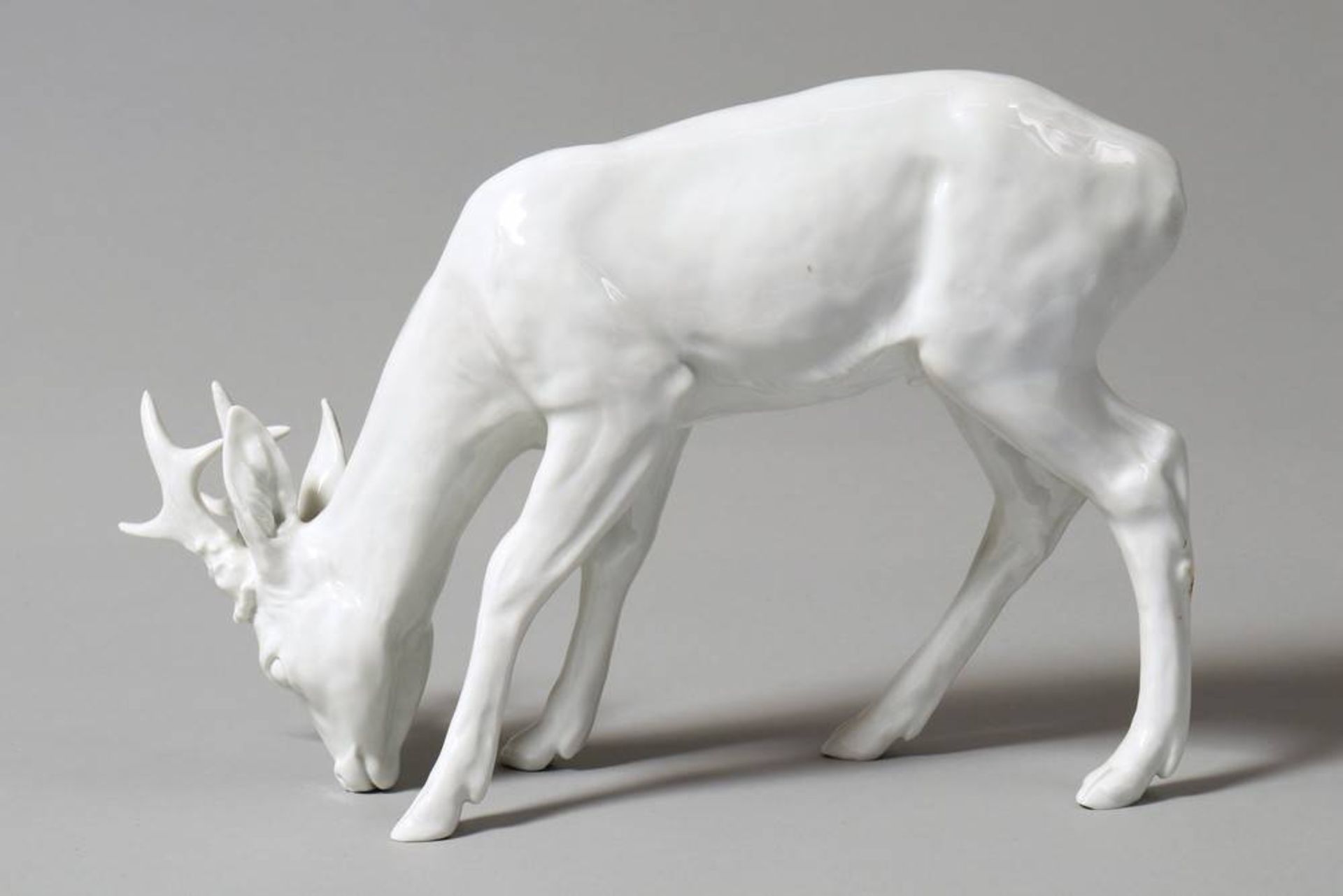 Standing roebuck Design Willi Münch-Khe (1885-1960), Meissen, 20th C., porcelain, sword mark and - Bild 2 aus 5