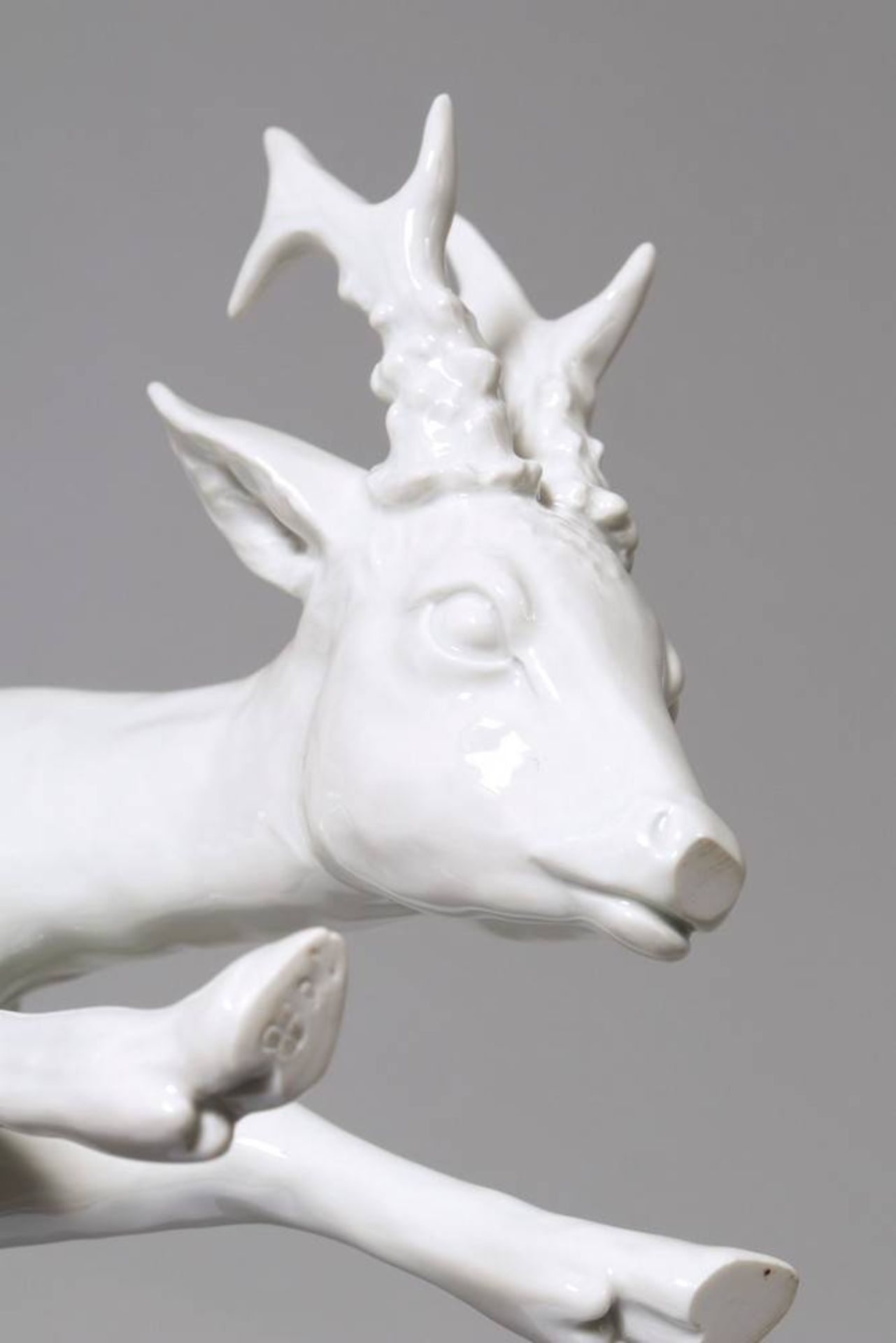 Standing roebuck Design Willi Münch-Khe (1885-1960), Meissen, 20th C., porcelain, sword mark and - Bild 4 aus 5