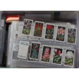 A very large collection of cigarette cards in plastic files