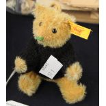 A small Steiff Irish Teddy Bear