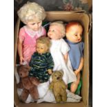 Assorted dolls and Teddybears (6)