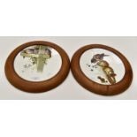 Two aesthetic movement framed plates,