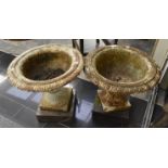 Pair of late Victorian, cast iron, pedastal garden planters with gadrooned edges.