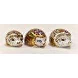 Royal Crown Derby paperweights, Orchard Hedgehog,